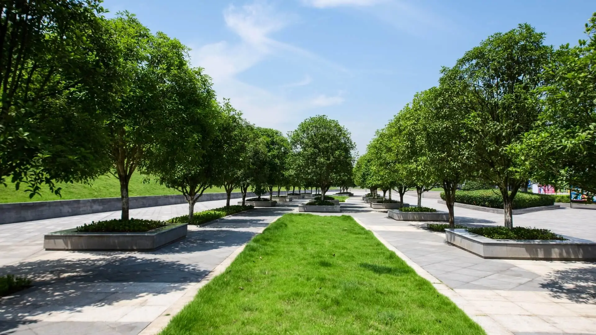 Her Metrekarede Yeşilin İmzası